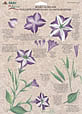 folk art one stroke painting Reusable Teaching Guides  Petunia/Carnation 