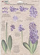 folk art one stroke painting Reusable Teaching Guides  Hyacinth/Water Lily 