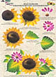 folk art one stroke painting Reusable Teaching Guides  Sunflowers 