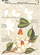 folk art one stroke painting Reusable Teaching Guides  Magnolia 