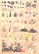 folk art one stroke painting Reusable Teaching Guides  Mini Wildflowers 