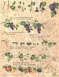 folk art one stroke painting Reusable Teaching Guides  Mini Grapes and Ivy 