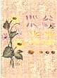 folk art one stroke painting Reusable Teaching Guides  Daisies 