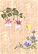 folk art one stroke painting Reusable Teaching Guides  Columbine/Sweet Pea 