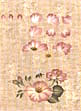 folk art one stroke painting Reusable Teaching Guides  Garden Rose 