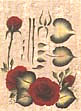 folk art one stroke painting Reusable Teaching Guides  Tea Rose 